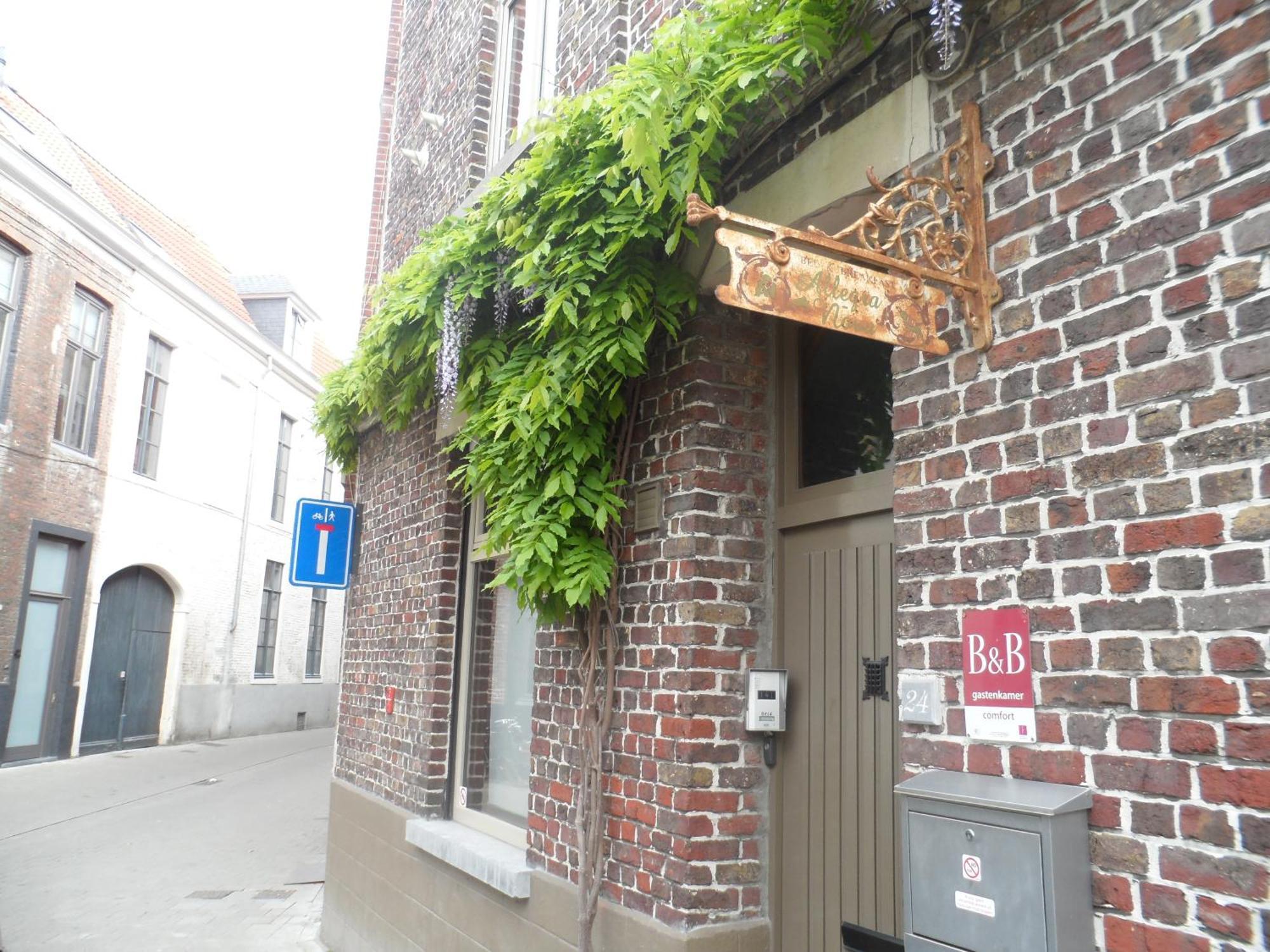 B&B Allegra Nova Gent Rum bild